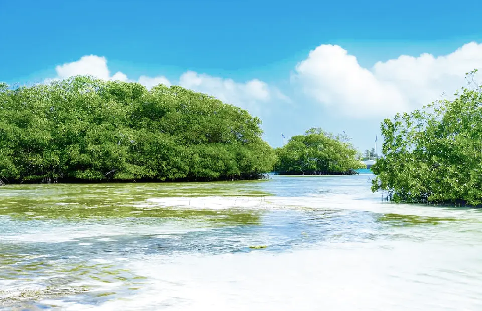 Reservas Naturales en San Andrés Islas